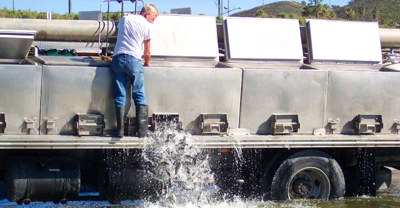 Lake Elsinore Projects
