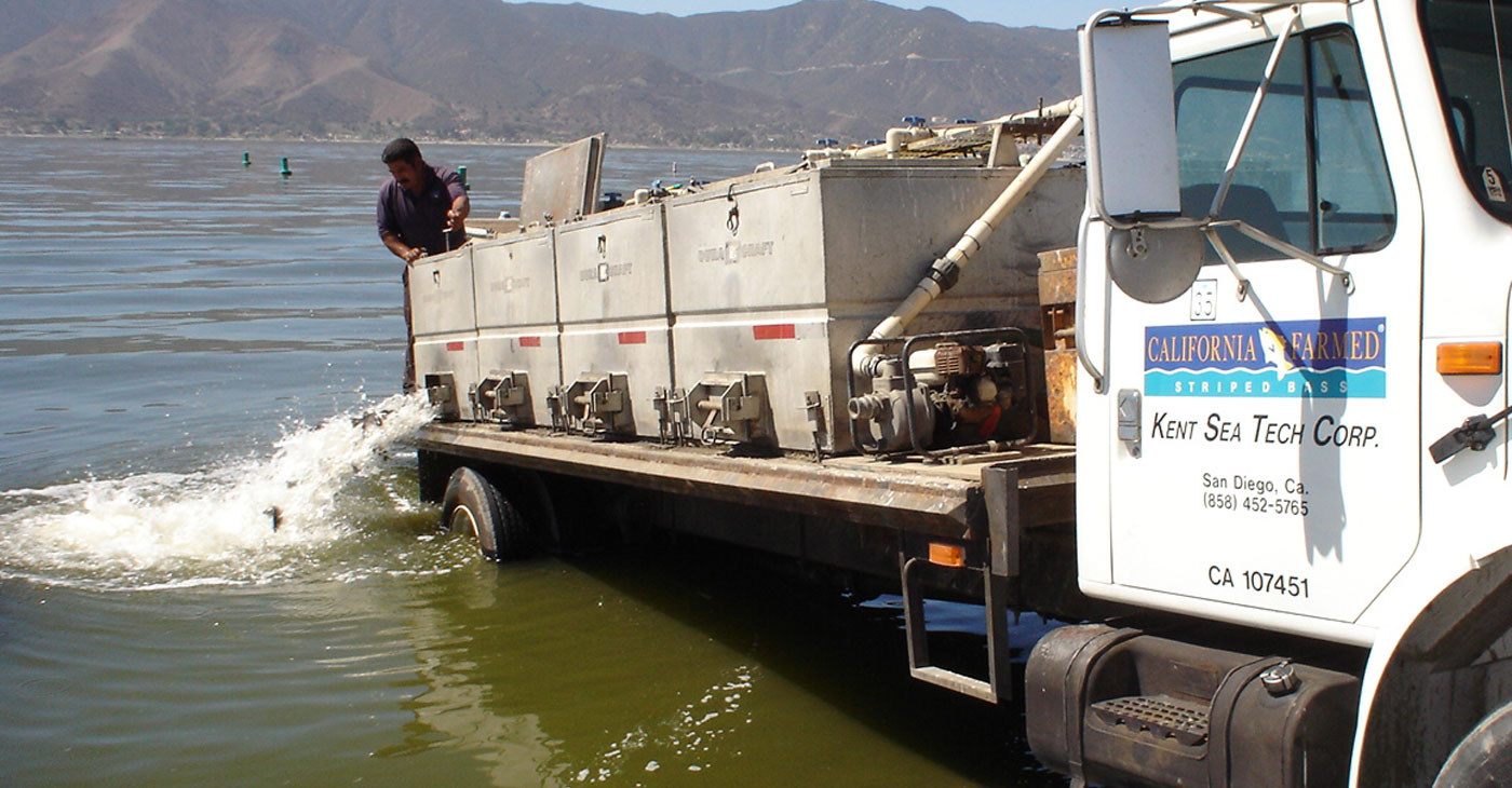 Lake Elsinore Projects