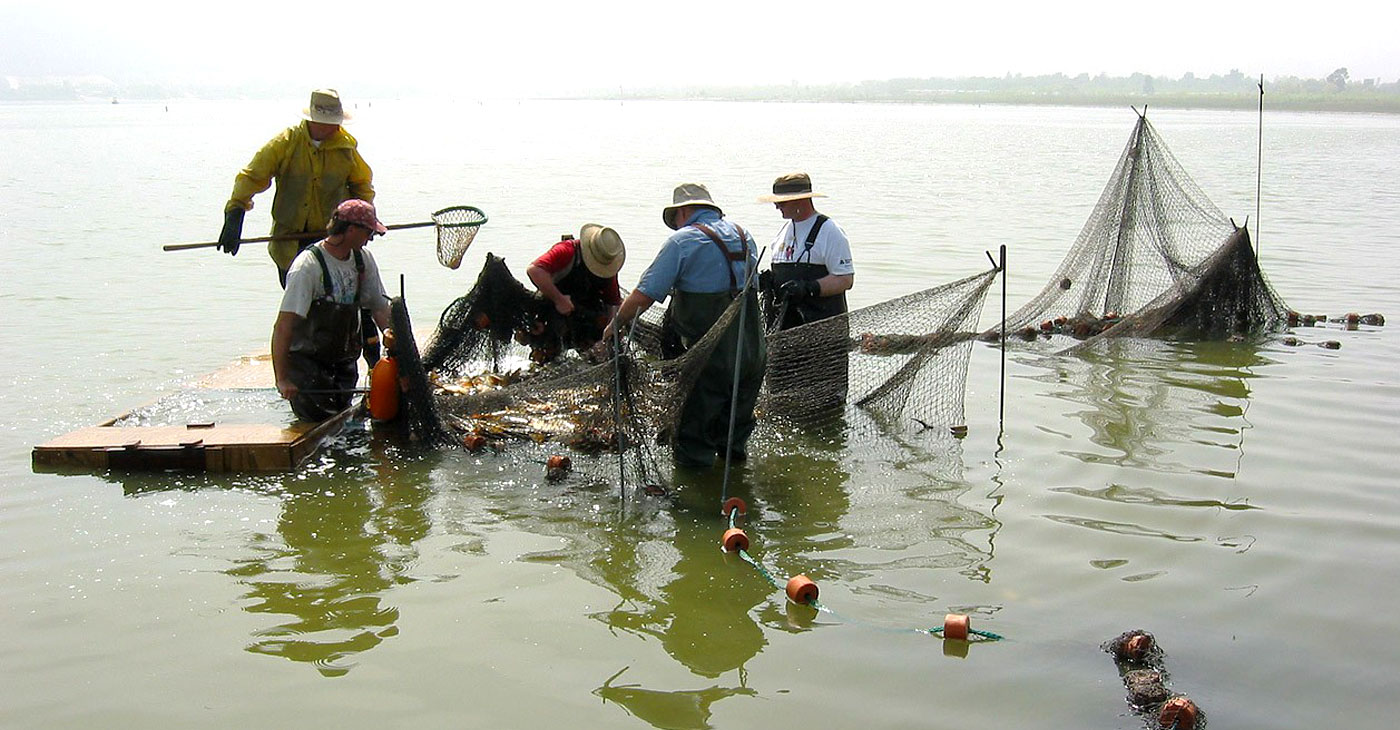 Lake Elsinore Projects