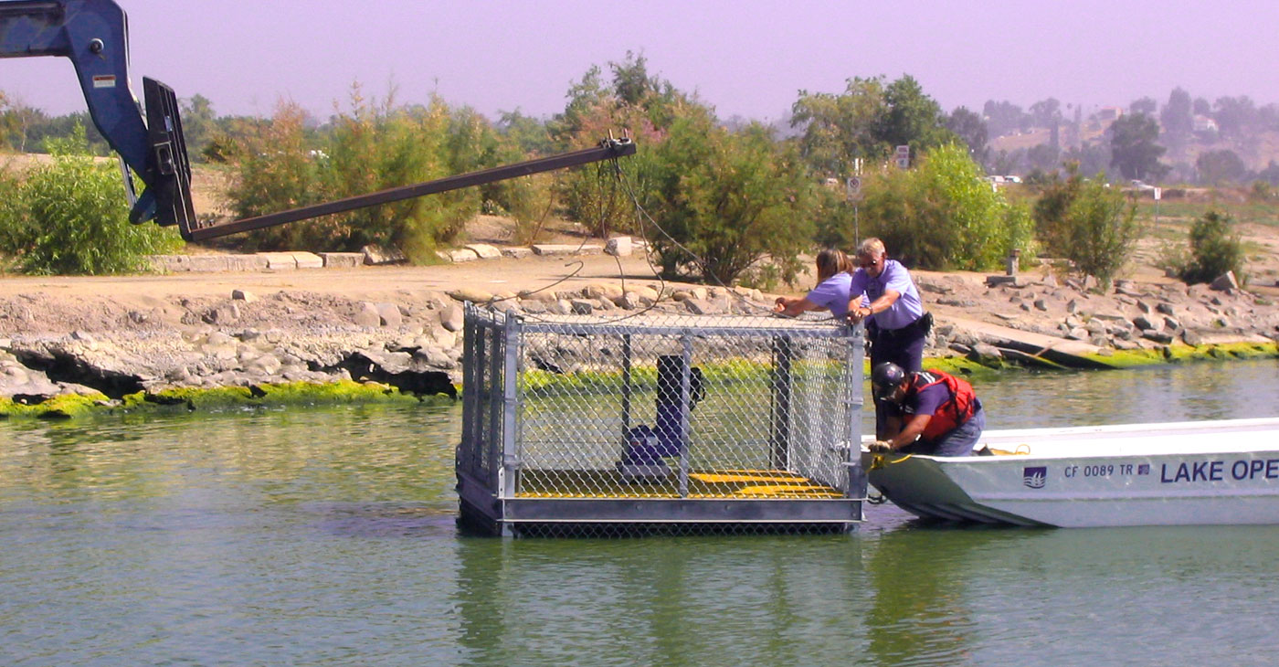 Lake Elsinore Projects