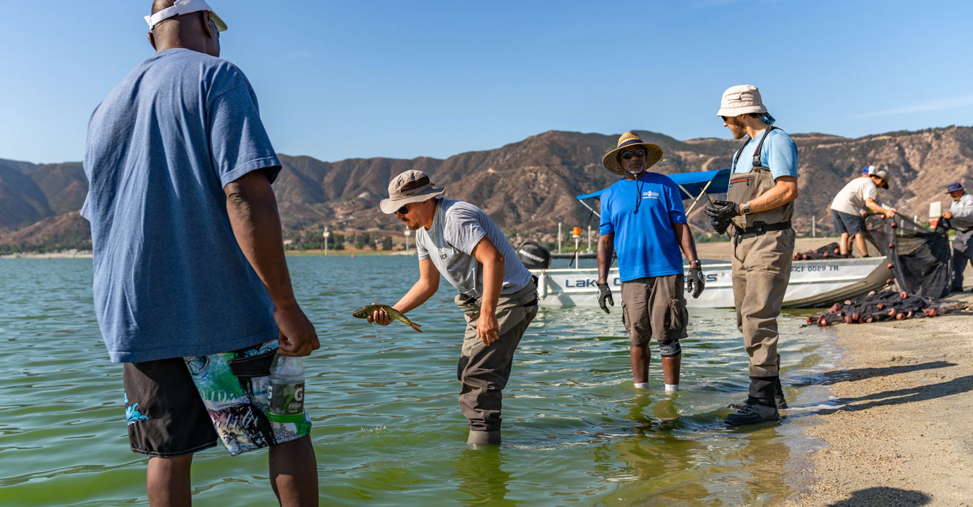 Lake Elsinore Projects