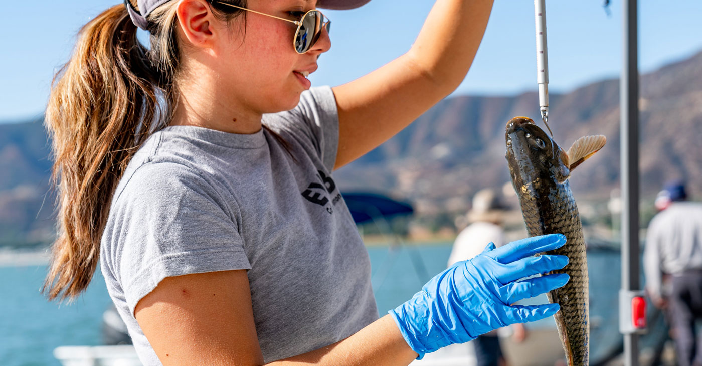 Lake Elsinore Projects
