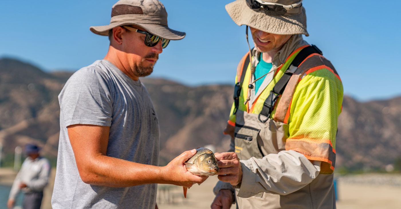 Lake Elsinore Projects