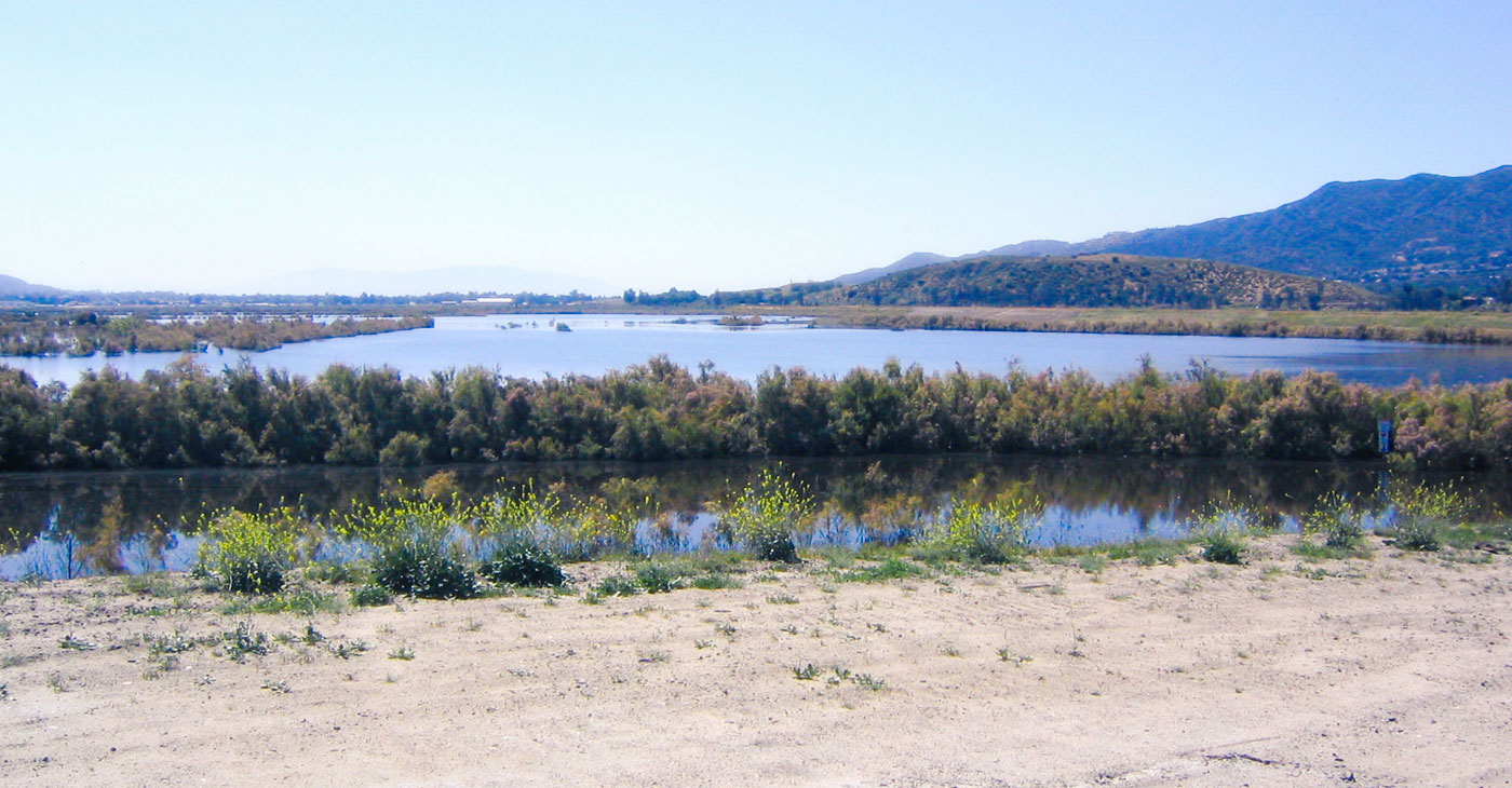 Lake Elsinore Projects