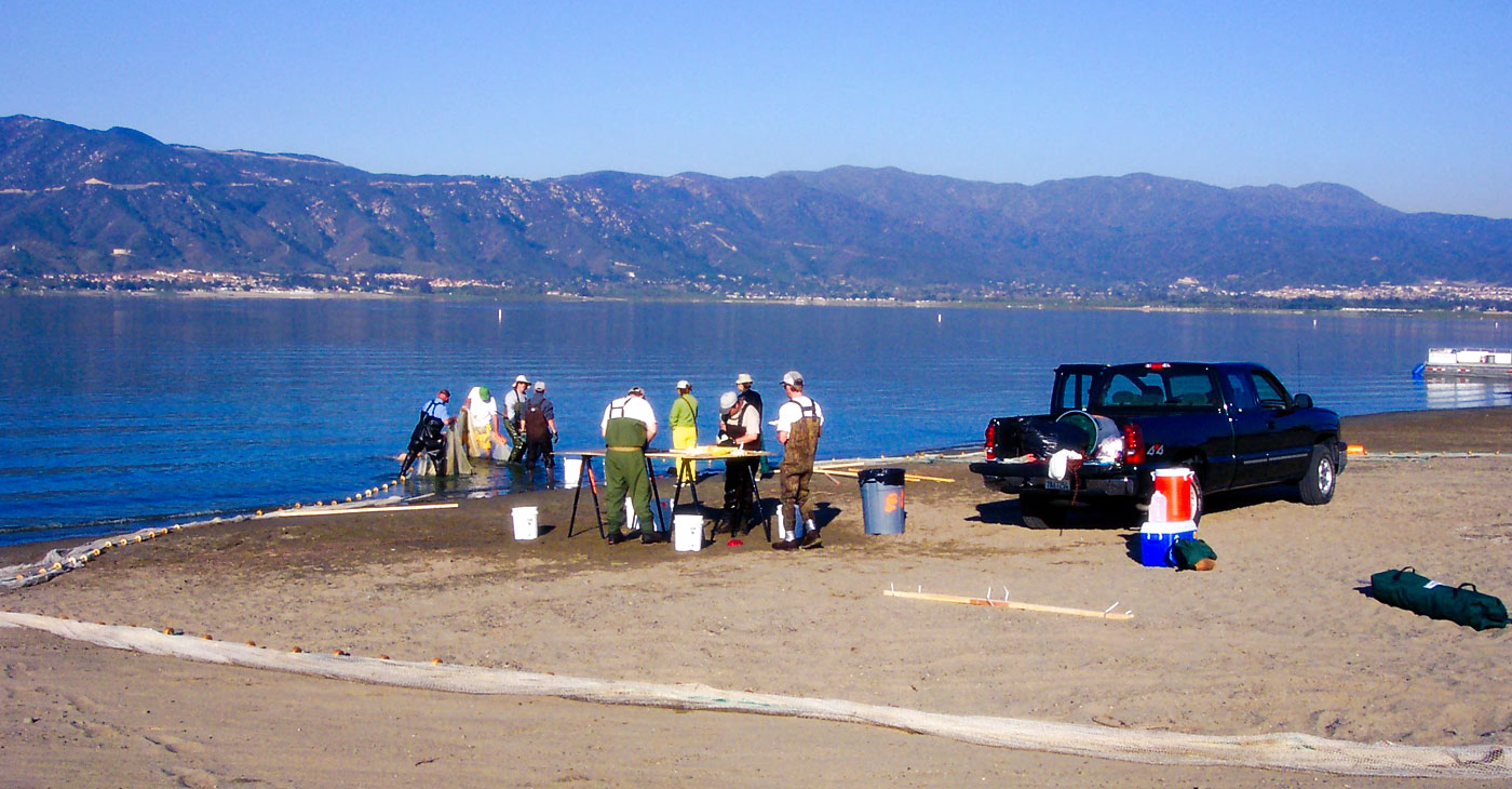 Lake Elsinore Projects