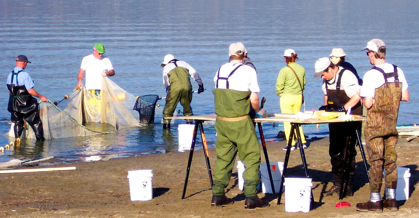 Lake Elsinore Projects