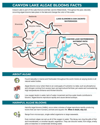 View Canyon Lake Algae Blooms Fact Sheet PDF